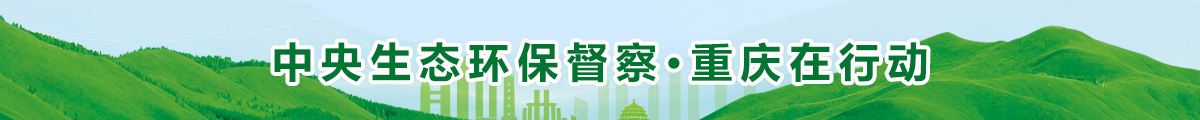 环保督查